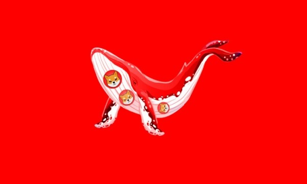 Whale Buying Shiba Inu Dip, Top 1000 ETH Wallets On Average Accumulates 647M Shib Coins In 24 Hours Whale Buying Shiba Inu Dip, Top 1000 ETH Wallets On Average Accumulates 647M Shib Coins In 24 Hours