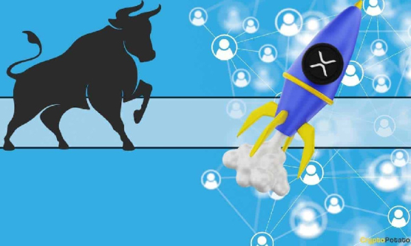 XRP Price During Next Bull Market: 3 Things to Keep an Eye Out For XRP Price During Next Bull Market: 3 Things to Keep an Eye Out For