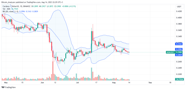 Cardano Whales Rapidly Accumulating, ADA Bull Run Incoming? Cardano Whales Rapidly Accumulating, ADA Bull Run Incoming?