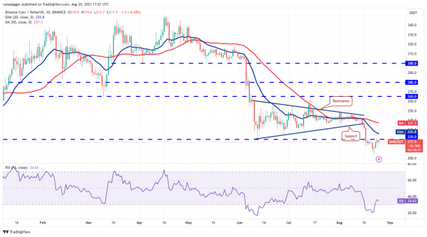 Price analysis 8/25: BTC, ETH, BNB, XRP, ADA, SOL, DOGE, DOT, MATIC, TON Price analysis 8/25: BTC, ETH, BNB, XRP, ADA, SOL, DOGE, DOT, MATIC, TON