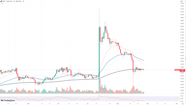 XRP Under Extreme Conditions, Data Shows XRP Under Extreme Conditions, Data Shows