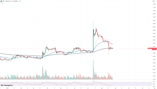 XRP's Suspicious Calmness Could Be Crucial Signal