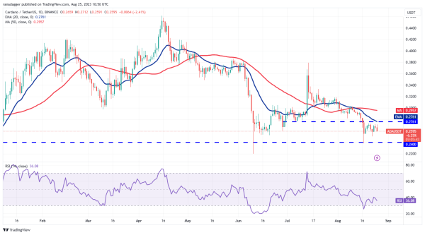 Price analysis 8/25: BTC, ETH, BNB, XRP, ADA, SOL, DOGE, DOT, MATIC, TON Price analysis 8/25: BTC, ETH, BNB, XRP, ADA, SOL, DOGE, DOT, MATIC, TON