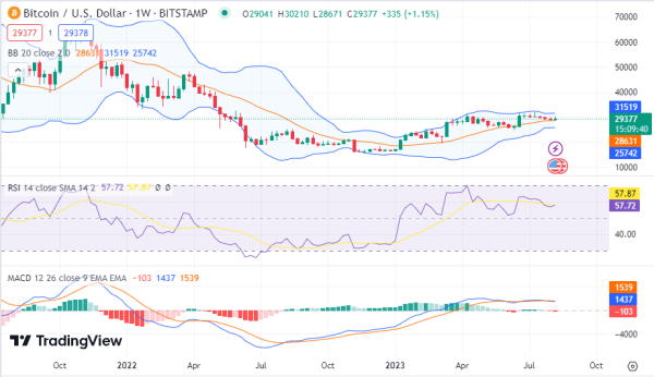 Weekly Analysis: Shiba Inu Makes Massive Strides as Solana Also Gains Weekly Analysis: Shiba Inu Makes Massive Strides as Solana Also Gains