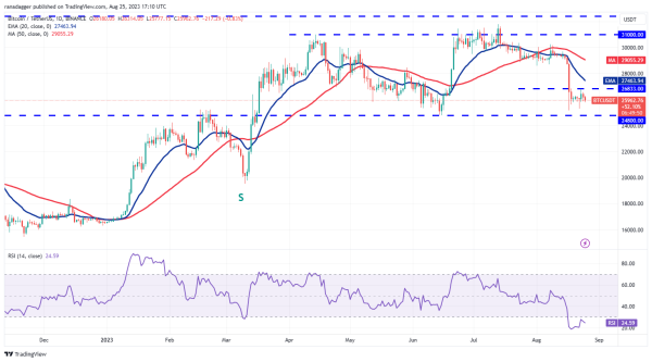 Price analysis 8/25: BTC, ETH, BNB, XRP, ADA, SOL, DOGE, DOT, MATIC, TON Price analysis 8/25: BTC, ETH, BNB, XRP, ADA, SOL, DOGE, DOT, MATIC, TON