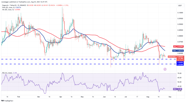 Price analysis 8/25: BTC, ETH, BNB, XRP, ADA, SOL, DOGE, DOT, MATIC, TON Price analysis 8/25: BTC, ETH, BNB, XRP, ADA, SOL, DOGE, DOT, MATIC, TON