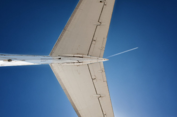 Bitcoin Traders Remain Fearful of 'Tail Risk' Amid Renewed Price Lull: Observers Bitcoin Traders Remain Fearful of 'Tail Risk' Amid Renewed Price Lull: Observers