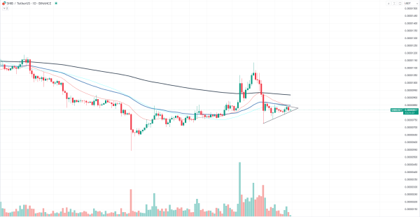 Shiba Inu (SHIB) Symmetrical Triangle Is Here, Here's What Might Happen Shiba Inu (SHIB) Symmetrical Triangle Is Here, Here's What Might Happen