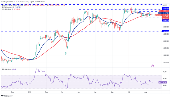 Bitcoin’s sideways price action leads traders to focus on SHIB, UNI, MKR and XDC Bitcoin’s sideways price action leads traders to focus on SHIB, UNI, MKR and XDC