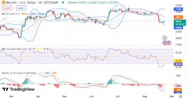 Daily Analysis: BTC, ETH, SHIB, EOS, SFP