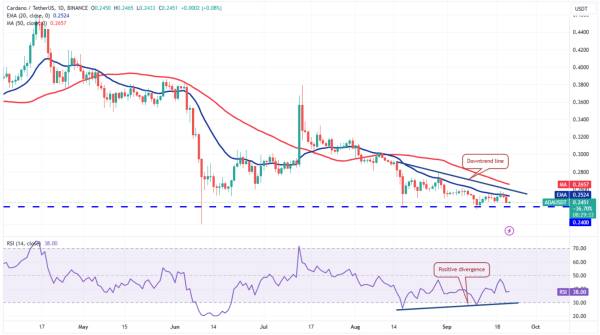 Important Levels and Predictions: ETH, DOGE, ADA Coin Price Reviews Important Levels and Predictions: ETH, DOGE, ADA Coin Price Reviews