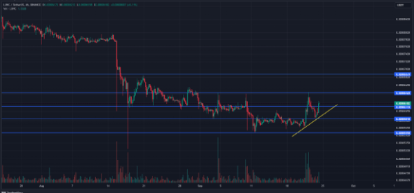 LUNC Delivers Stellar Performance and Gains 3+% Over the Past 24H LUNC Delivers Stellar Performance and Gains 3+% Over the Past 24H