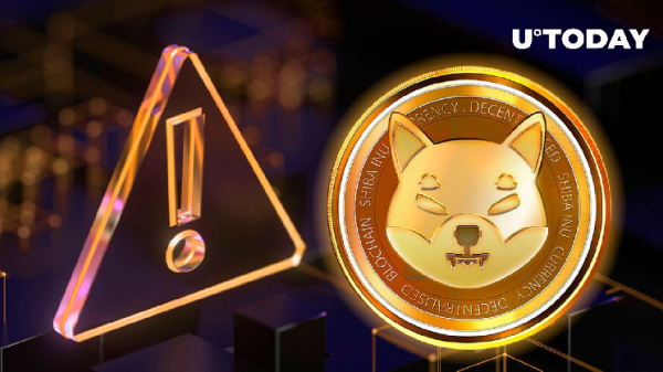 SHIB Member Issues Major Warning to Community: Details SHIB Member Issues Major Warning to Community: Details