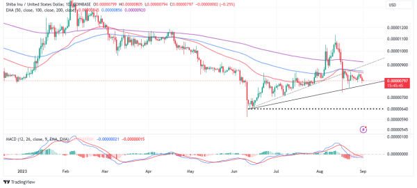 SHIB Price Sweeps The Floor While Shibarium Explodes, How To Stay Profitable SHIB Price Sweeps The Floor While Shibarium Explodes, How To Stay Profitable