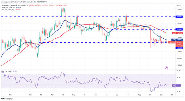 Price analysis 9/8: BTC, ETH, BNB, XRP, ADA, DOGE, SOL, TON, DOT, MATIC Price analysis 9/8: BTC, ETH, BNB, XRP, ADA, DOGE, SOL, TON, DOT, MATIC
