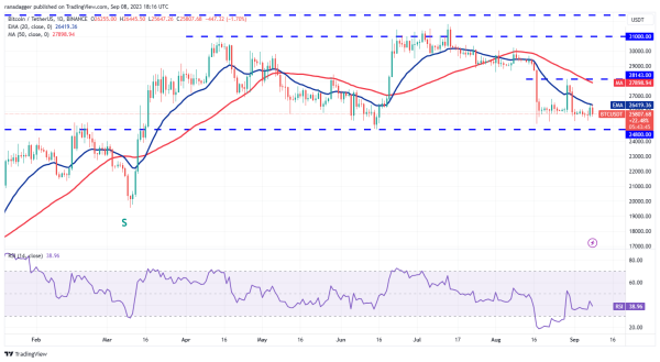 Price analysis 9/8: BTC, ETH, BNB, XRP, ADA, DOGE, SOL, TON, DOT, MATIC Price analysis 9/8: BTC, ETH, BNB, XRP, ADA, DOGE, SOL, TON, DOT, MATIC