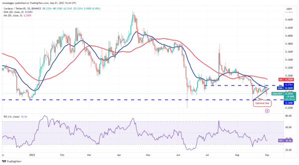 Price analysis 9/1: BTC, ETH, BNB, XRP, ADA, DOGE, SOL, TON, DOT, MATIC