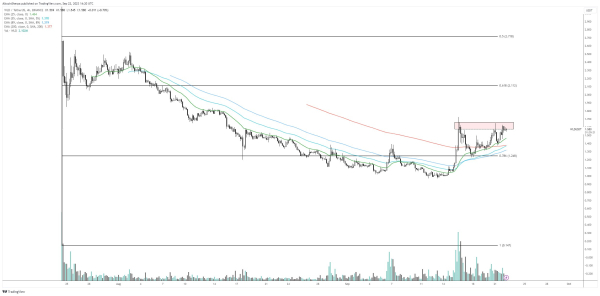 Trader Says Dogecoin Rival Has Additional Upside Potential, Updates Outlook on Bitcoin and Worldcoin Trader Says Dogecoin Rival Has Additional Upside Potential, Updates Outlook on Bitcoin and Worldcoin