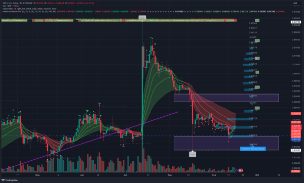 Ripple Will Take The $0.5 Mark As Upcoming Motivation