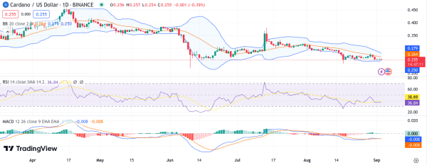 Daily Analysis: BTC, ETH, XRP, SOL, ADA