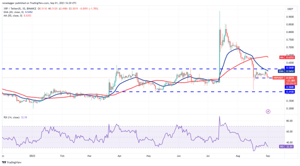 Price analysis 9/1: BTC, ETH, BNB, XRP, ADA, DOGE, SOL, TON, DOT, MATIC