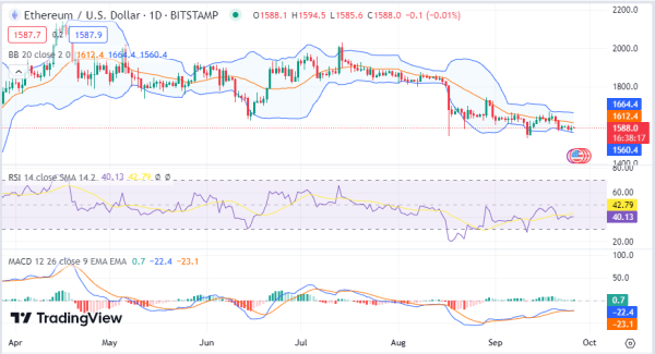 Daily Analysis: BTC, ETH, BCH, AVAX, UNI