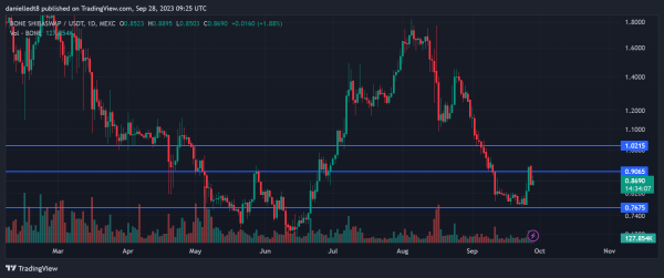 Meme Coin Watch: SHIB, DOGE, PEPE Up While BONE Faces Headwinds