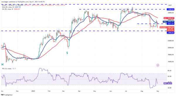 Price analysis 9/1: BTC, ETH, BNB, XRP, ADA, DOGE, SOL, TON, DOT, MATIC