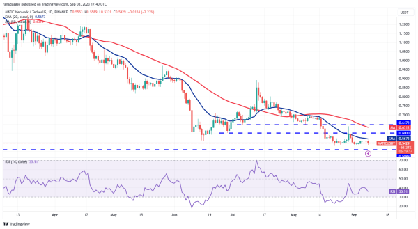 Price analysis 9/8: BTC, ETH, BNB, XRP, ADA, DOGE, SOL, TON, DOT, MATIC Price analysis 9/8: BTC, ETH, BNB, XRP, ADA, DOGE, SOL, TON, DOT, MATIC