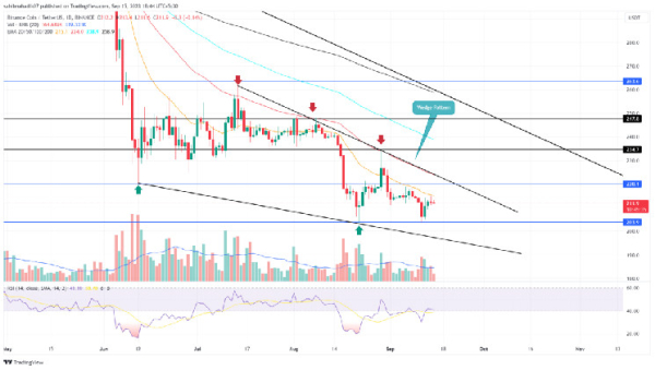 Can BNB Price Rebound to Hit $250? Bullish Pattern Sets a 16% Rally Can BNB Price Rebound to Hit $250? Bullish Pattern Sets a 16% Rally