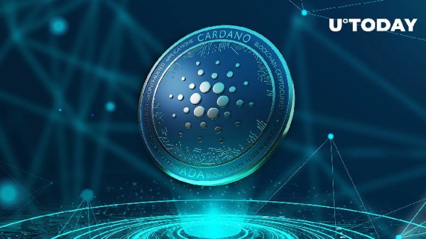 Cardano Defies Market Trends with Rising On-Chain Transaction Volume Cardano Defies Market Trends with Rising On-Chain Transaction Volume