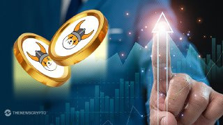 Floki Exponential 13% Surge Steals Spotlight