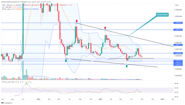 SHIB Price Prediction: Will Shiba Inu Coin Hold or Fold at $0.000007?