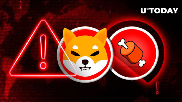 Shiba Inu Team Issues Critical Alert as BONE Renounced
