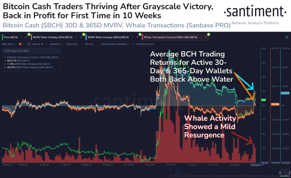 One Top-30 Ethereum-Based Altcoin Signaling a Potential Rally, Says Crypto Analytics Firm – But There’s a Catch One Top-30 Ethereum-Based Altcoin Signaling a Potential Rally, Says Crypto Analytics Firm – But There’s a Catch