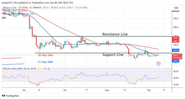 BNB Recovers, But Fluctuates Between $200 And $220 BNB Recovers, But Fluctuates Between $200 And $220
