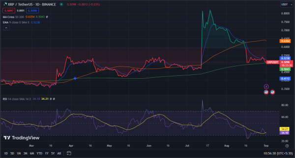 XRP Should Only Account For 1% Of Portfolios Suggests MPT Theory XRP Should Only Account For 1% Of Portfolios Suggests MPT Theory