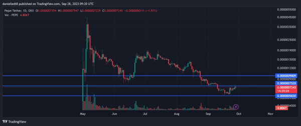 Meme Coin Watch: SHIB, DOGE, PEPE Up While BONE Faces Headwinds