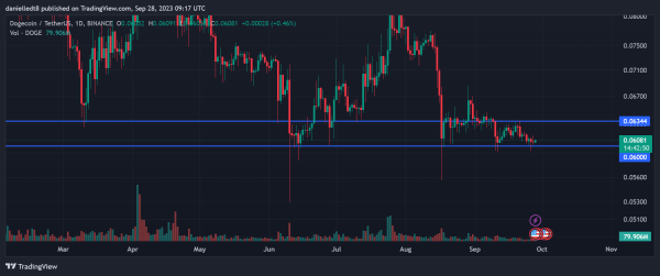 Meme Coin Watch: SHIB, DOGE, PEPE Up While BONE Faces Headwinds