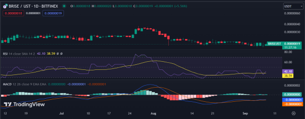 Bitgert's BRISE Token Soars 25.32%: Bullish Trend to Likely Continue