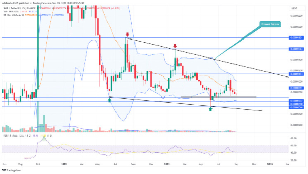 SHIB Price Prediction: Will Shiba Inu Coin Hold or Fold at $0.000007?
