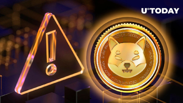 Shibarium Official's Warning About Fees Comes True: Details Shibarium Official's Warning About Fees Comes True: Details