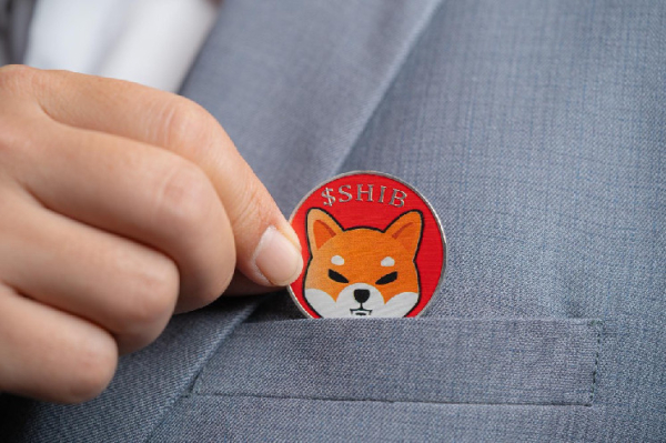 Why is Shiba Inu Crashing? BONE and SHIB in a Danger Zone? Why is Shiba Inu Crashing? BONE and SHIB in a Danger Zone?