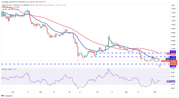 Price analysis 9/6: BTC, ETH, BNB, XRP, ADA, DOGE, SOL, TON, DOT, MATIC Price analysis 9/6: BTC, ETH, BNB, XRP, ADA, DOGE, SOL, TON, DOT, MATIC