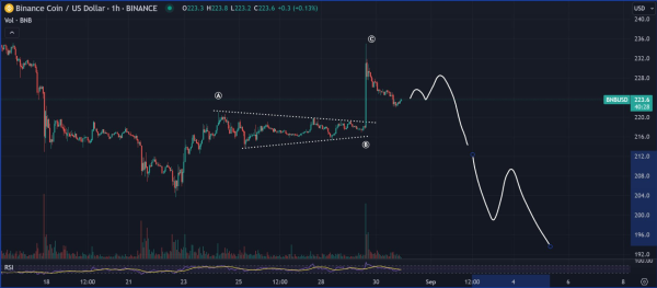 Binance Coin (BNB) Future: Analyst Warns of Bearish Signals Binance Coin (BNB) Future: Analyst Warns of Bearish Signals