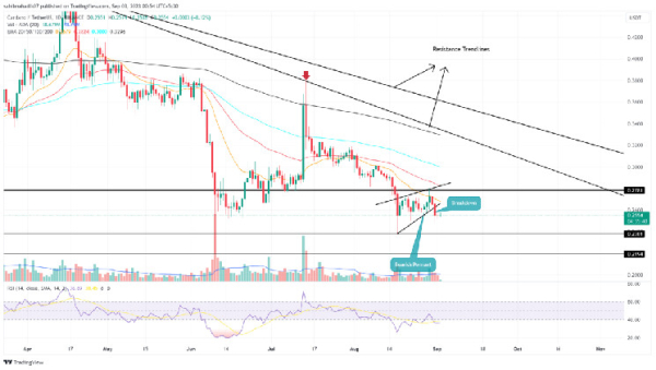 ADA Price Prediction: Cardano Coin to See 4% Jump Before the Next Fall
