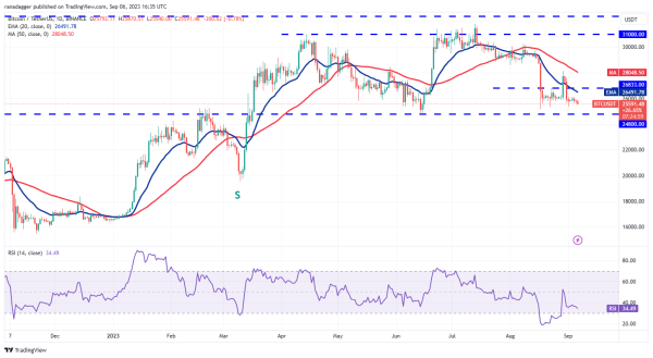 Price analysis 9/6: BTC, ETH, BNB, XRP, ADA, DOGE, SOL, TON, DOT, MATIC Price analysis 9/6: BTC, ETH, BNB, XRP, ADA, DOGE, SOL, TON, DOT, MATIC