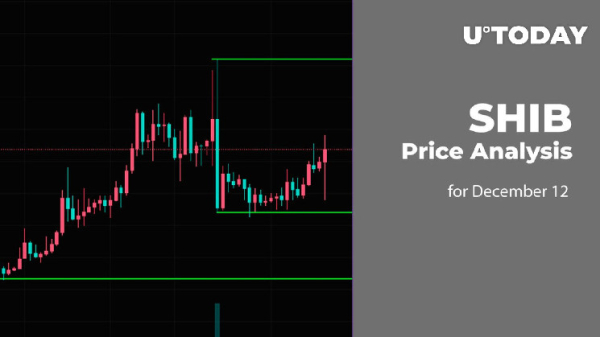 SHIB Price Analysis for December 12