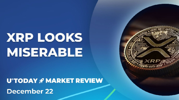 XRP Brutally Denied: Doomed to Miss Bull Run?