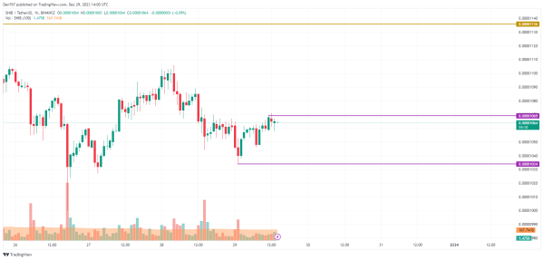 SHIB Price Analysis for December 29